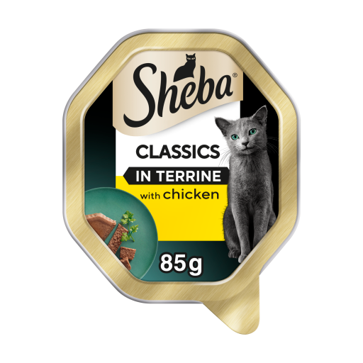 Sheba Classics Adult Cat Food Tray with Chicken in Terrine 85g